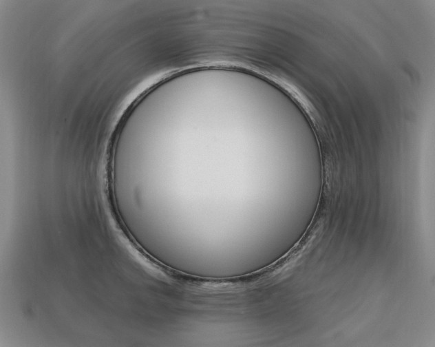 X0000113851142200909240959
