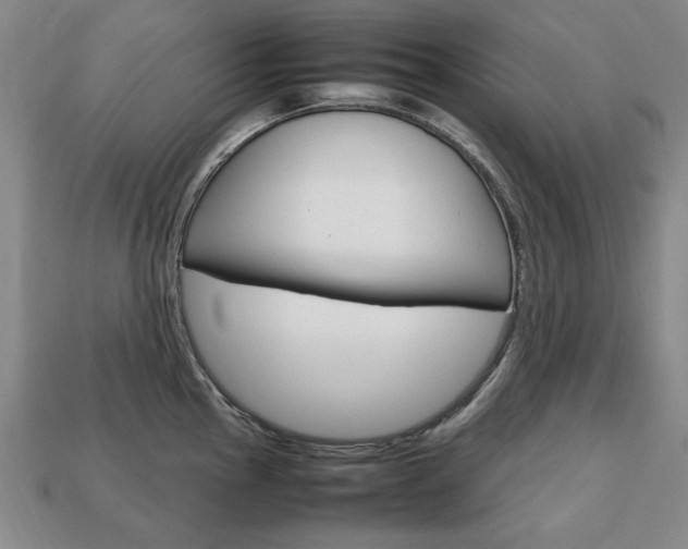 X0000113851145200909240959