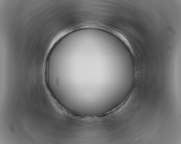 X0000113851146200909240959