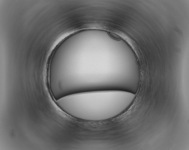 X0000113851147200909240959