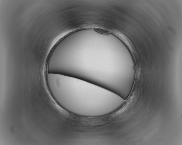 X0000113851149200909240959