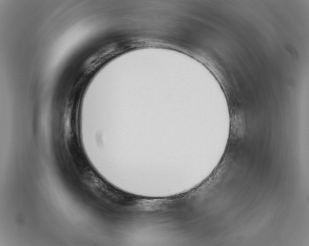 X0000113851150200909240959