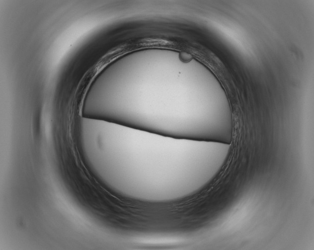 X0000113851151200909240959