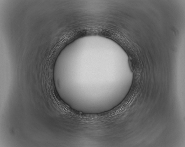 X0000113851153200909240959