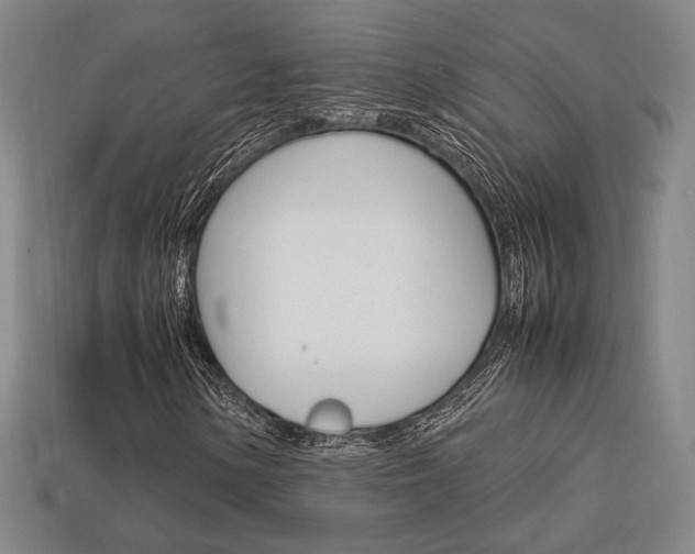 X0000113851154200909240959