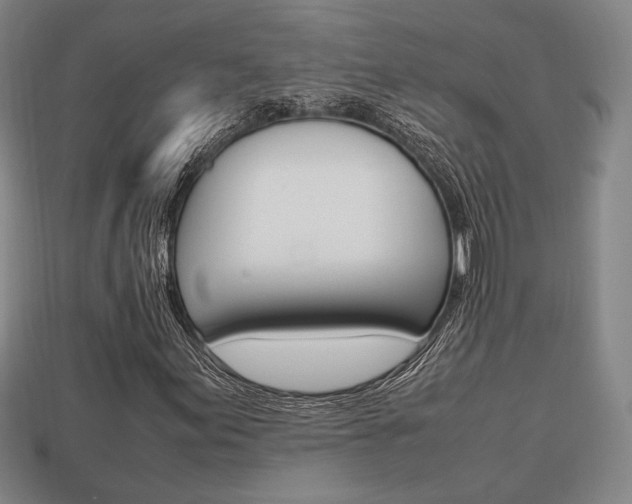 X0000113851155200909240959
