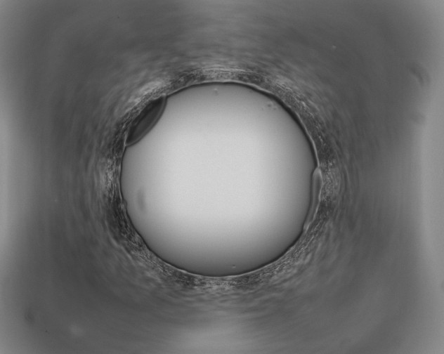 X0000113851157200909240959