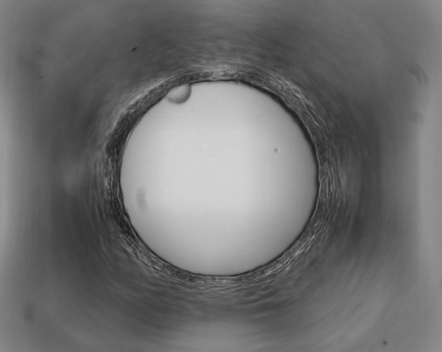X0000113851158200909240959