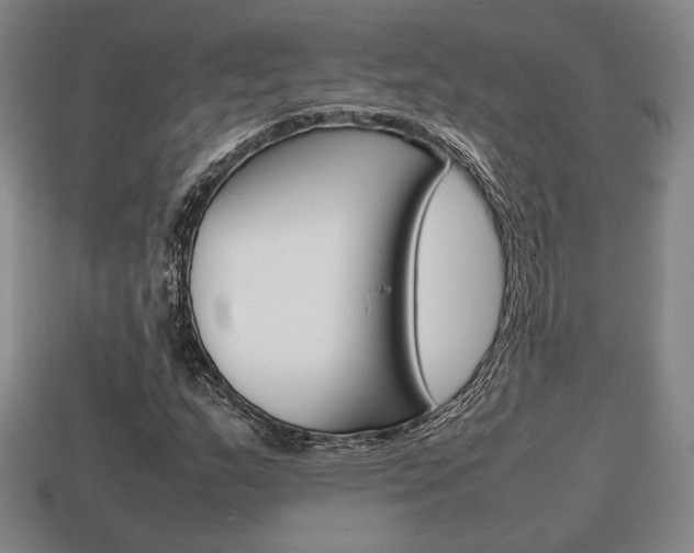 X0000113851159200909240959