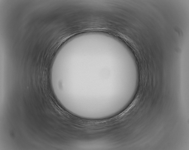 X0000113851161200909240959