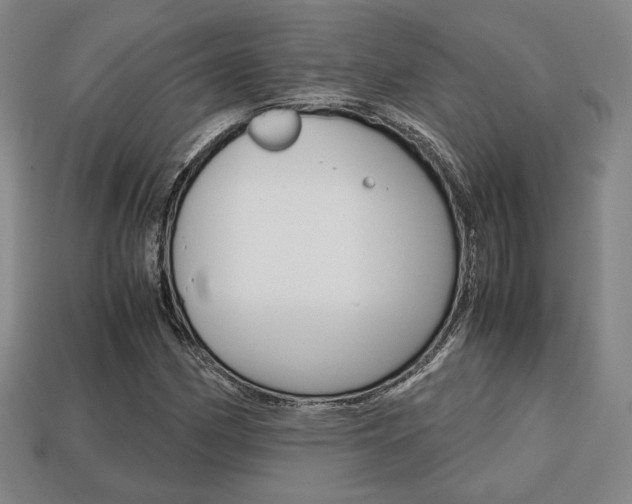 X0000113851162200909240959