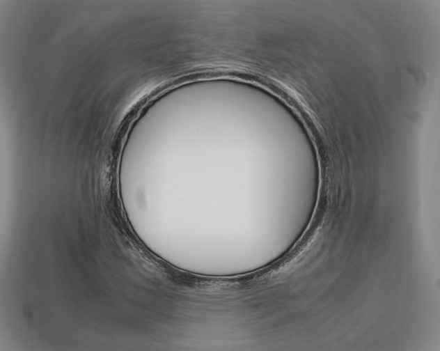 X0000113851163200909240959