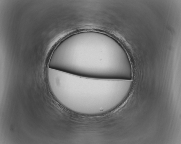X0000113851167200909240958