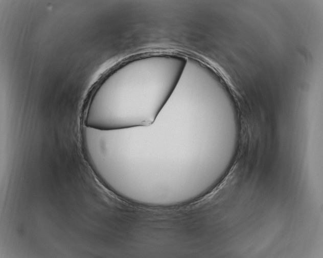 X0000113851168200909240958