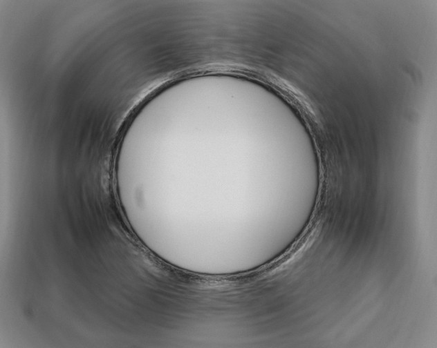 X0000113851170200909240958