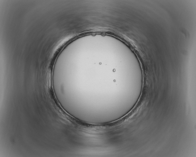 X0000113851171200909240958
