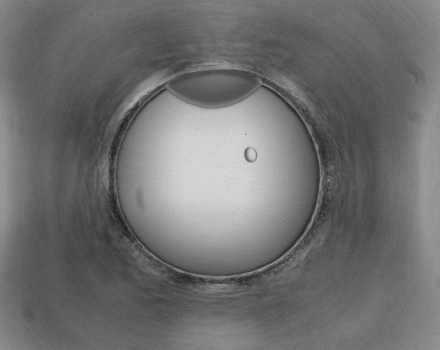 X0000113851173200909240958