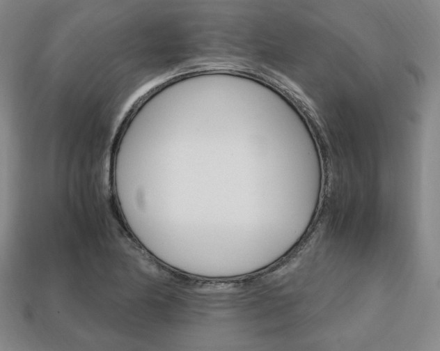 X0000113851174200909240958