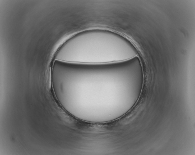X0000113851175200909240958