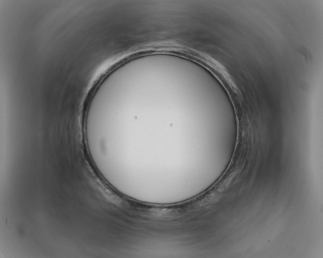 X0000113851176200909240958
