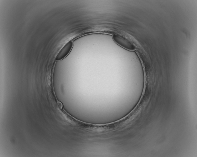 X0000113851177200909240958