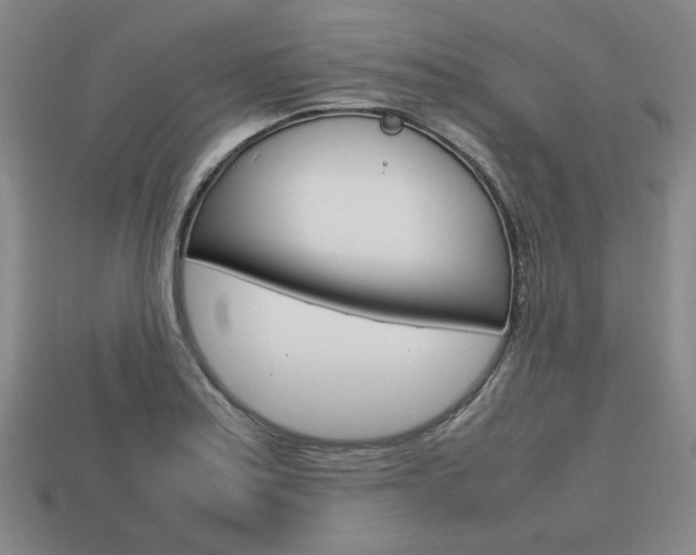 X0000113851179200909240958