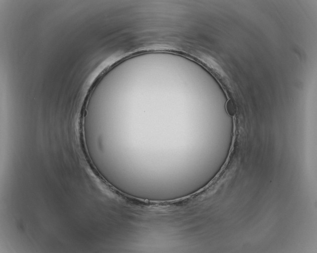 X0000113851181200909240958