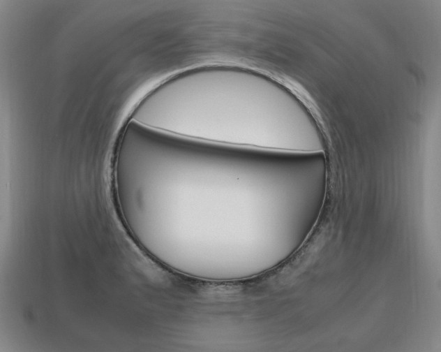 X0000113851183200909240958