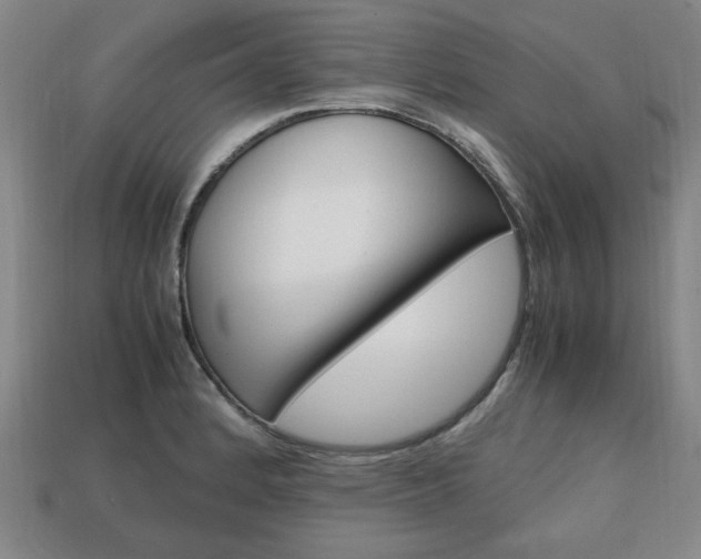 X0000113851184200909240958