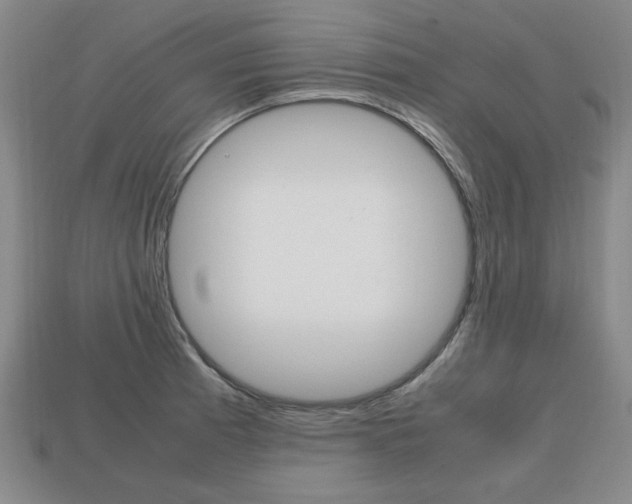 X0000113851185200909240958