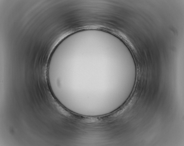 X0000113851186200909240958