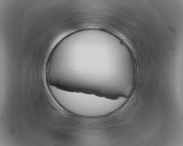 X0000113851187200909240958