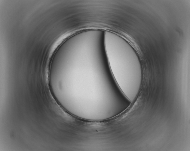 X0000113851188200909240958