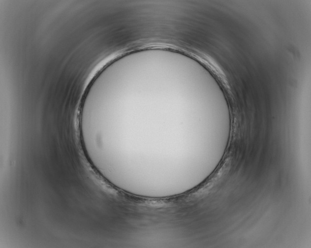 X0000113851190200909240958