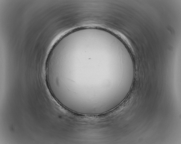 X0000113851191200909240958