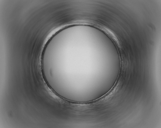 X0000113851192200909240958