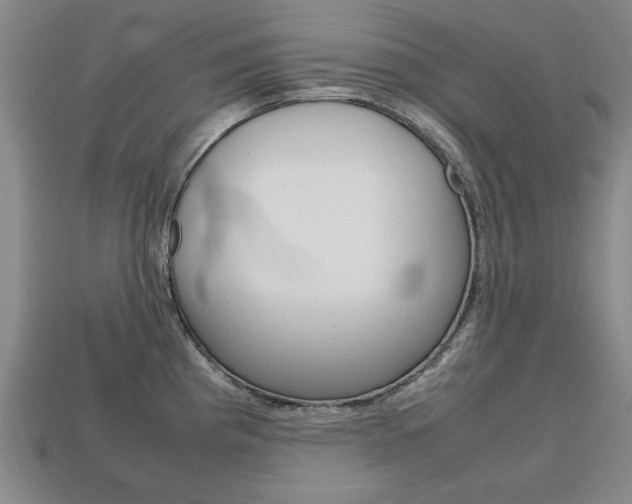 X0000113851193200909240958