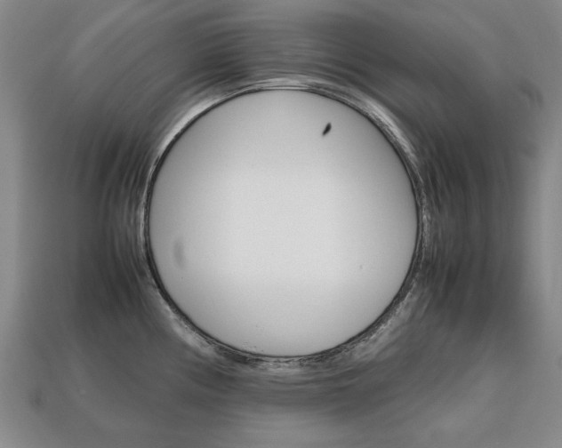 X0000113851194200909240958