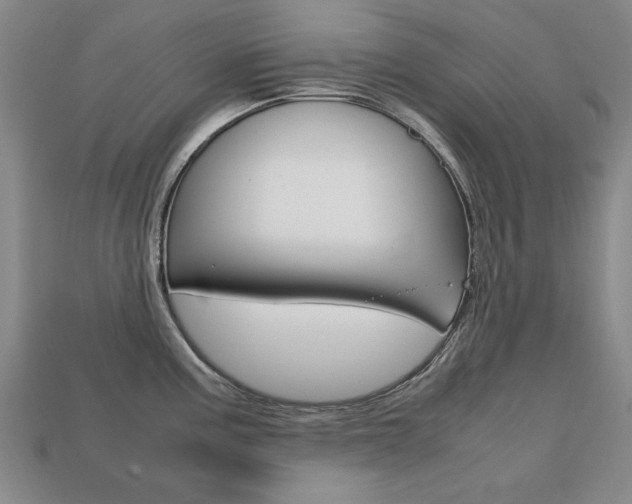 X0000113851195200909240958