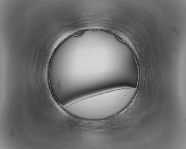 X0000113851197200909240958