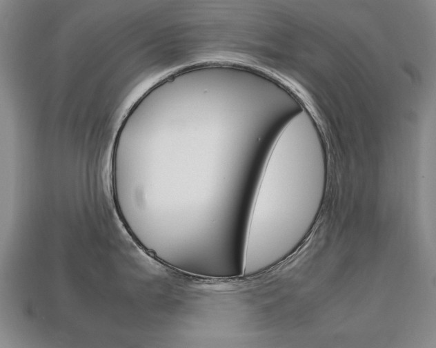 X0000113851199200909240958