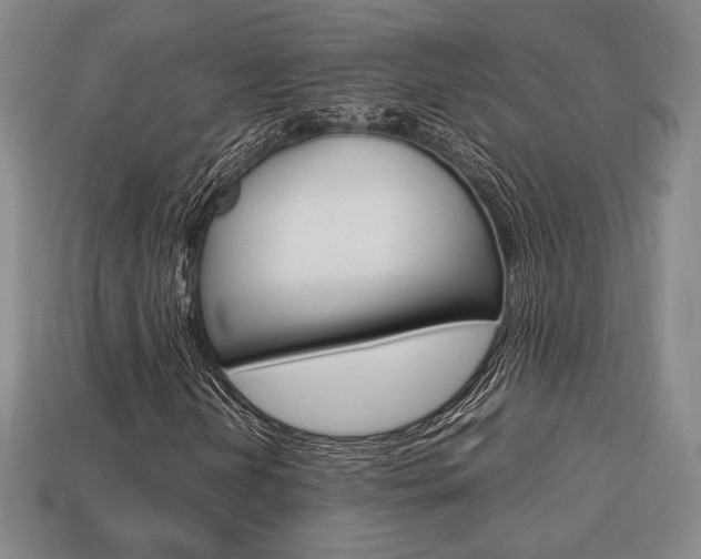 X0000113851202200909240957