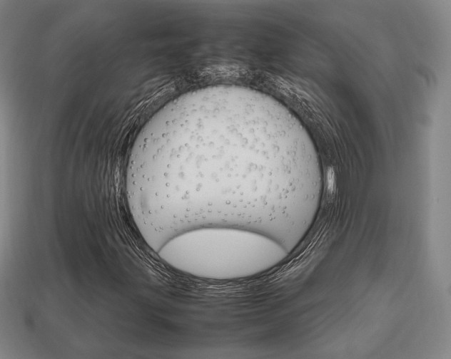 X0000113851203200909240957