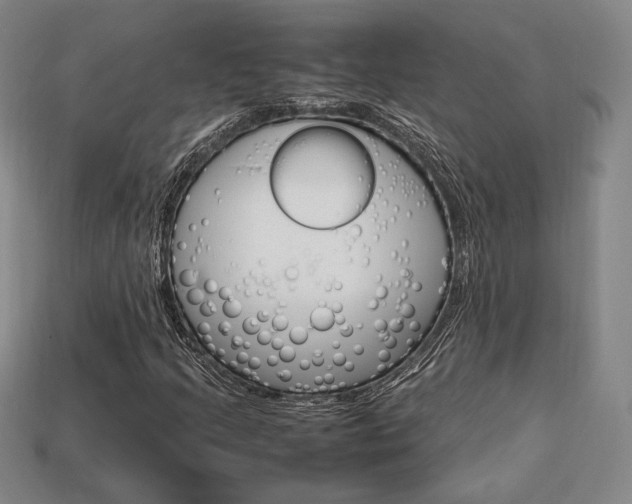 X0000113851205200909240957