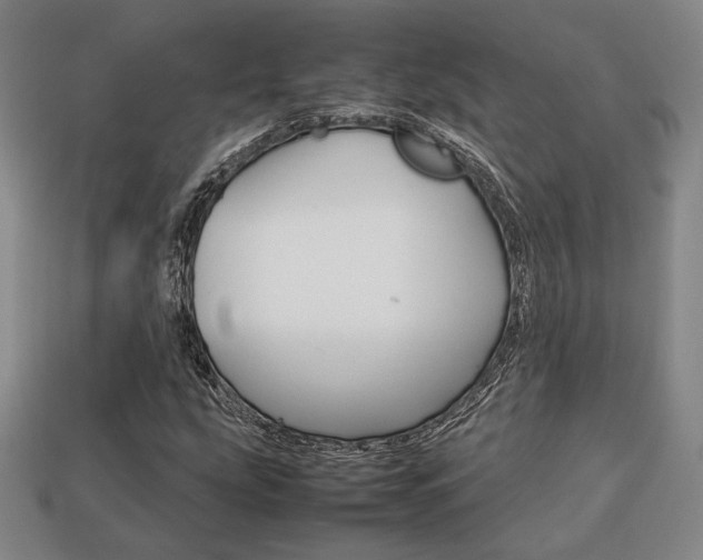 X0000113851207200909240957