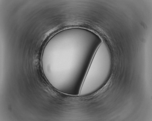 X0000113851210200909240957