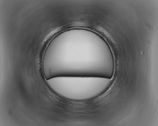 X0000113851213200909240957