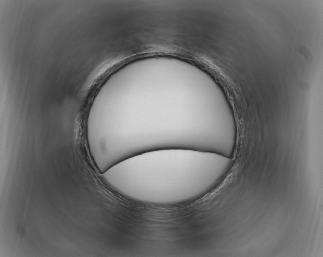 X0000113851215200909240957