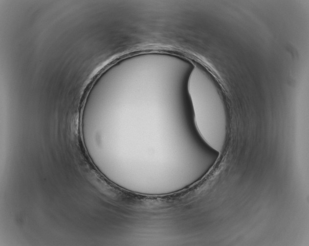 X0000113851220200909240957