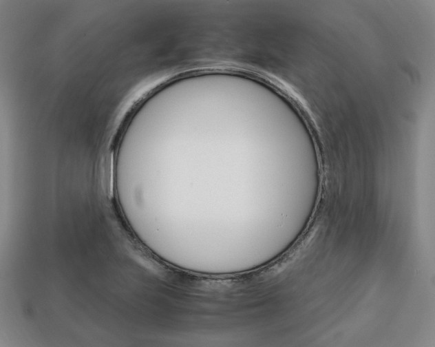 X0000113851223200909240958